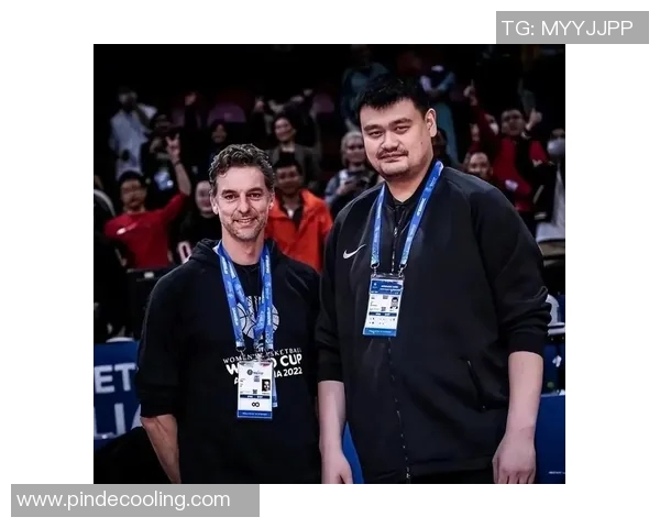 姚明与哈达迪精彩对决视频回顾两位篮球巨星的巅峰时刻再现